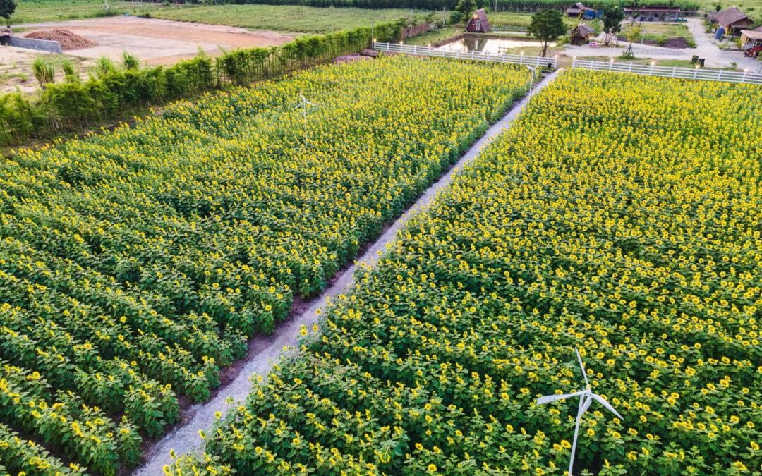 Victorian Education Excellence Awards